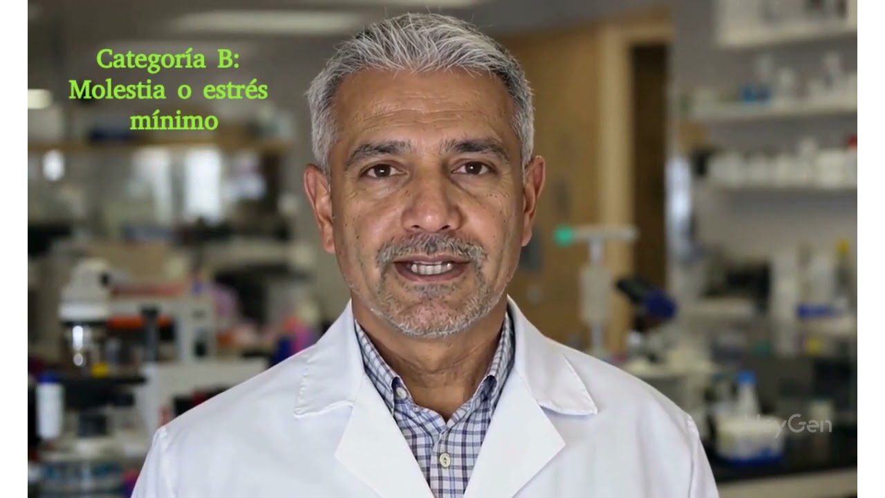 Categorías de intervención para reducir el sufrimiento animal