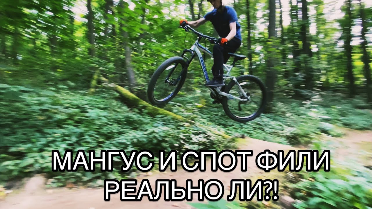 MONGOOSE и СПОТ ФИЛИ РЕАЛЬНО ЛИ?!