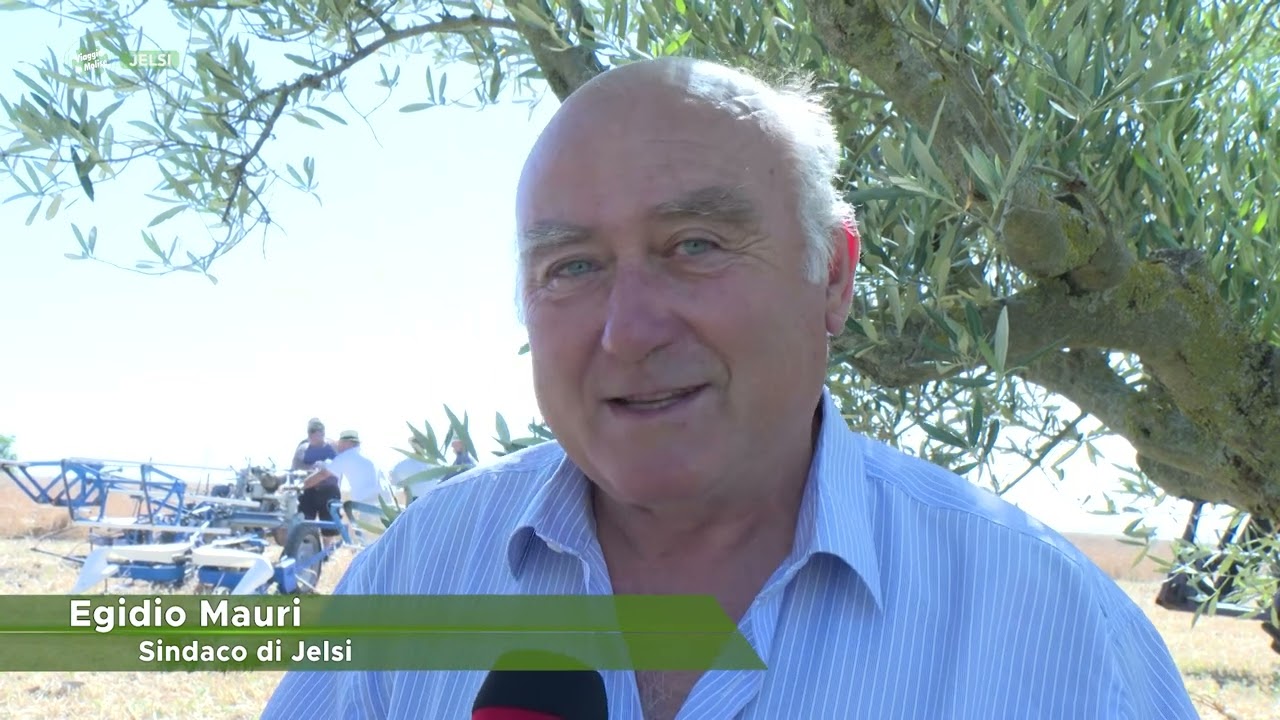 Jelsi - La mietitura del grano - Puntata 7856 - 04 - Viaggio in Molise - Telemolise