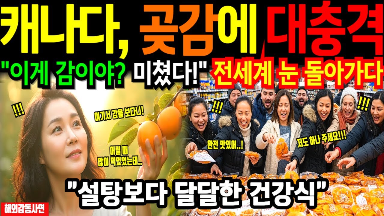 [해외감동사연] 평생 버려온 감 주워 곶감 만든 한국 이웃, 한국인들 천재 홍시와 곶감의 충격적인 맛에 미국 뒤집어졌다
