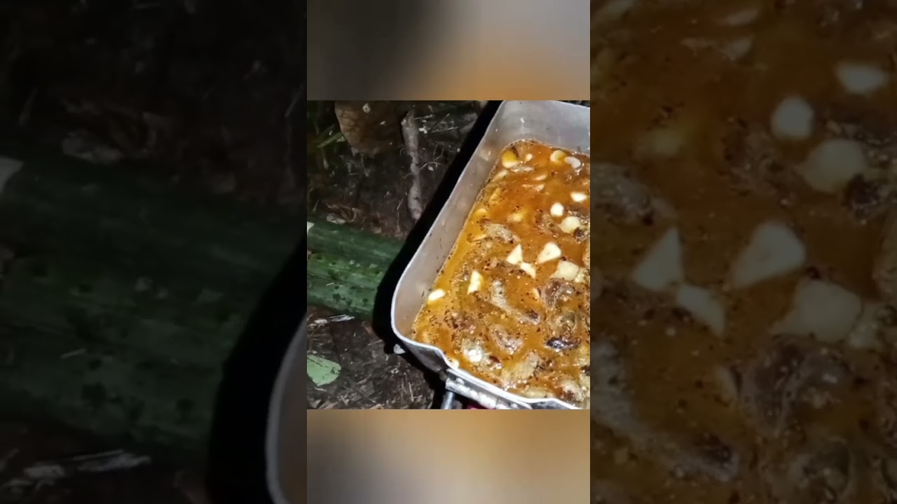 &ldquo;Masakan Hutan Dari Hasil Bubu Payung&rdquo; #masakdihutan #makanikan @ricolilofamily3991
