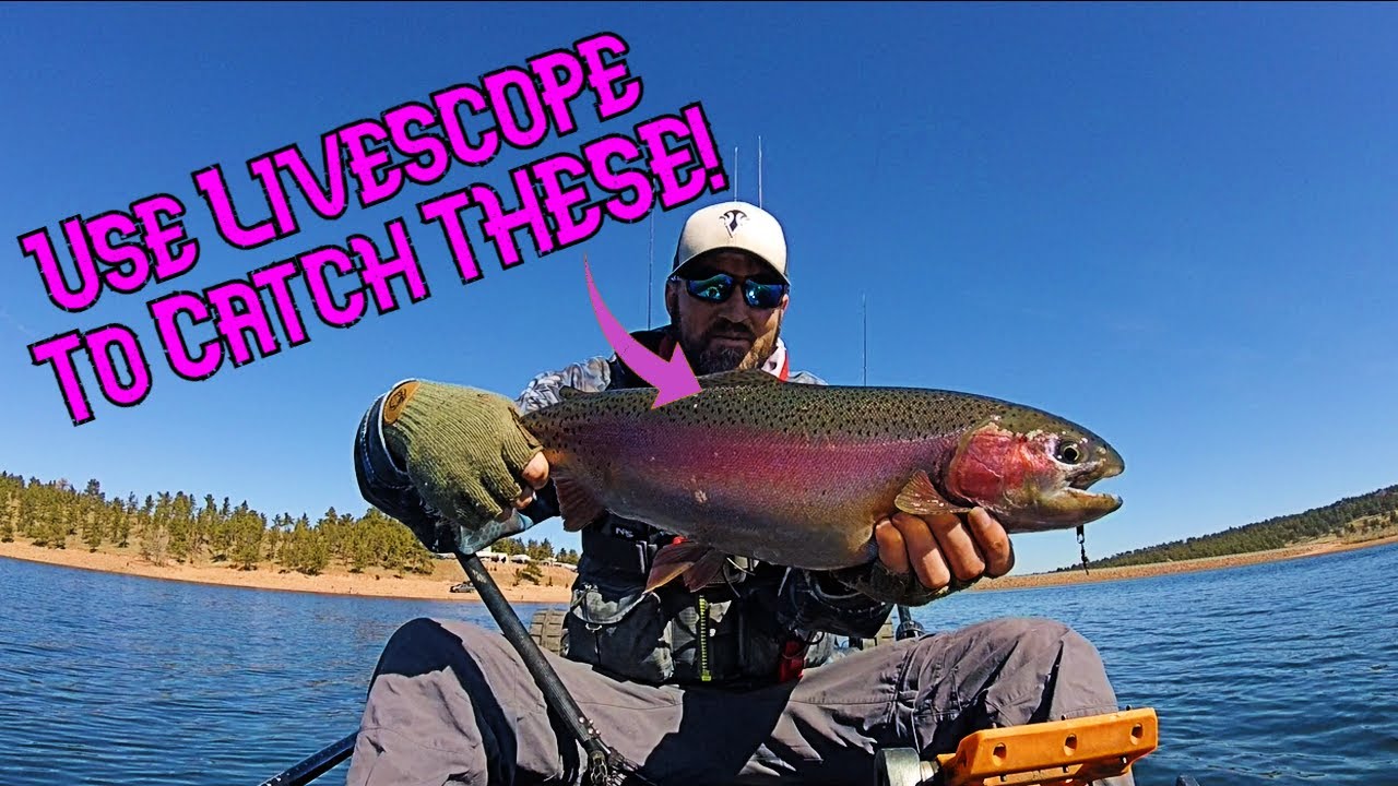 How To Use Garmin Livescope To Catch BIG Trout!