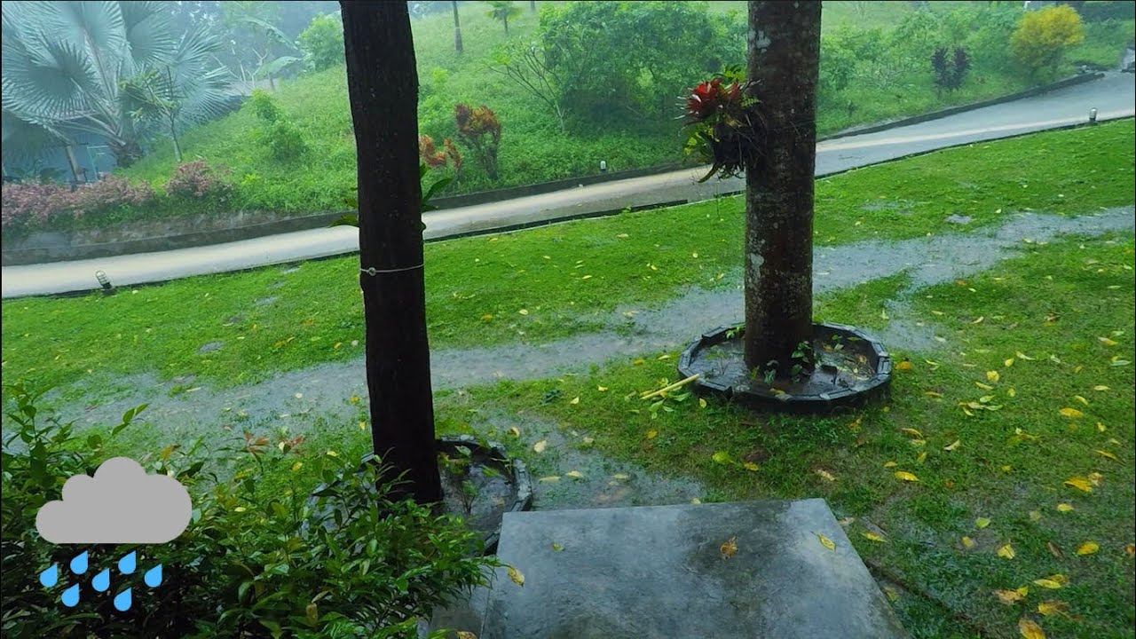 Rain sounds for sleeping🌲 in a beautiful garden view, ASMR white noise
