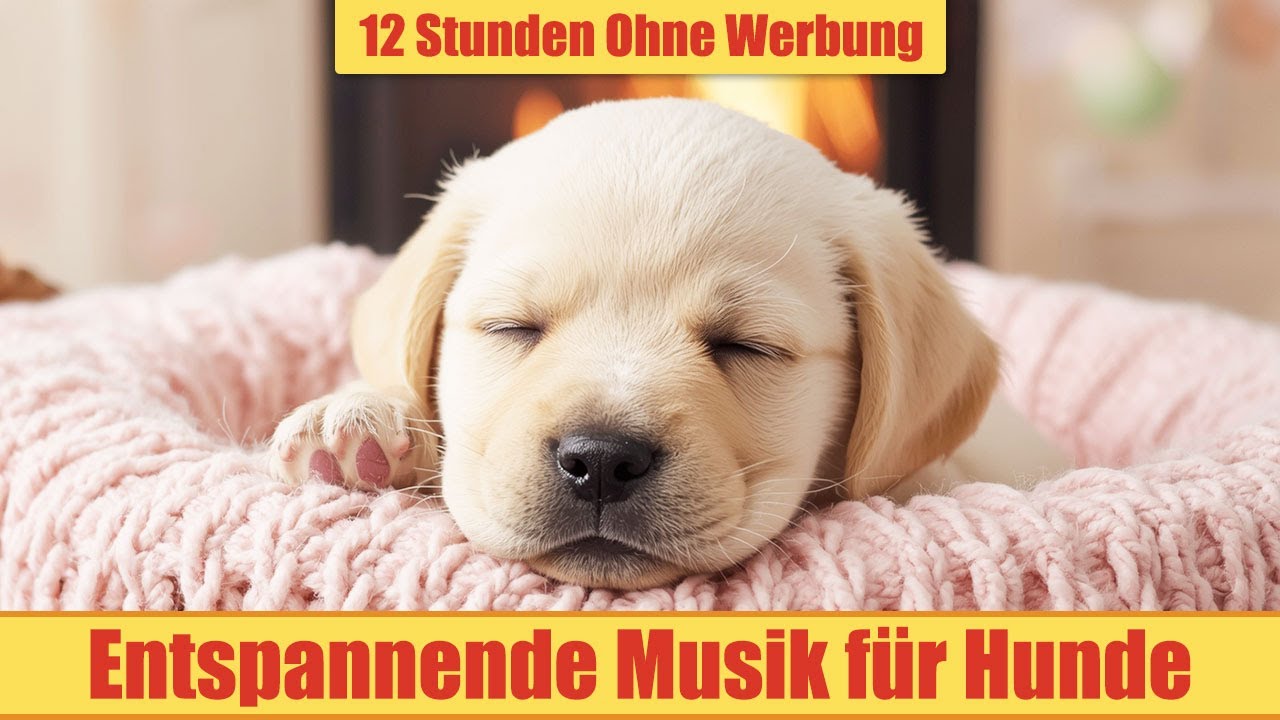 Beruhigende Musik für Hunde - 12 Stunden Ohne Werbung | Beruhigung & Entspannung_vol.27