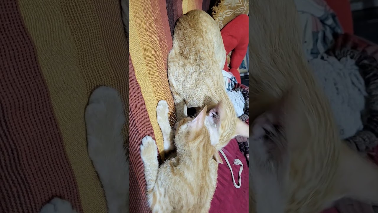 #loving