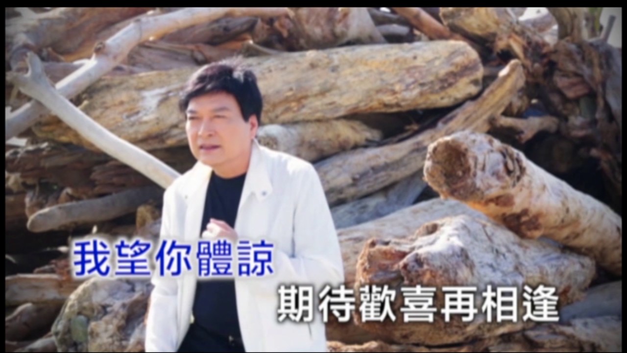 06 洪文斌 【相逢在故鄉】福將唱片