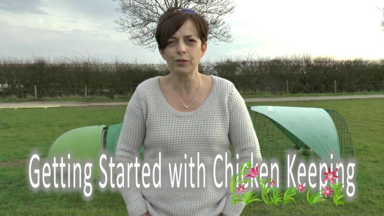 Chicken Housing: Getting Started with Chicken Keeping