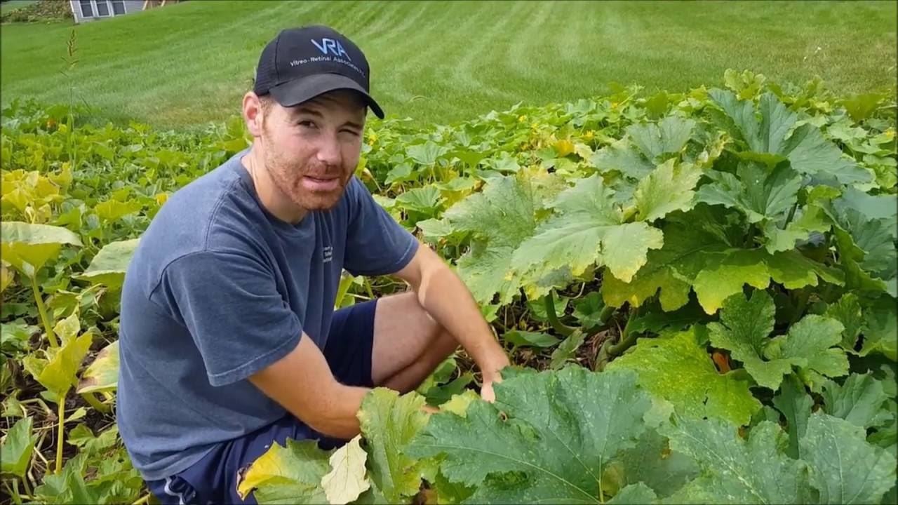 Zucchini Horn