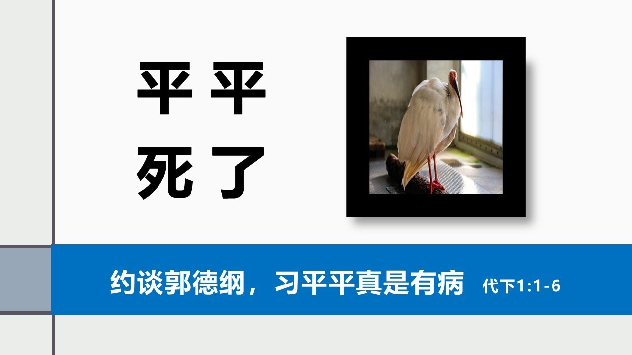 历代志下第1课：一千牺牲（1:1-6）。朱鹮平平之死的神学联想。川普《美国国家安全战略》解读。人渣荟萃、戏精作王的主流基督教。路德宗的试探。约谈郭德纲与习近平的疯病。