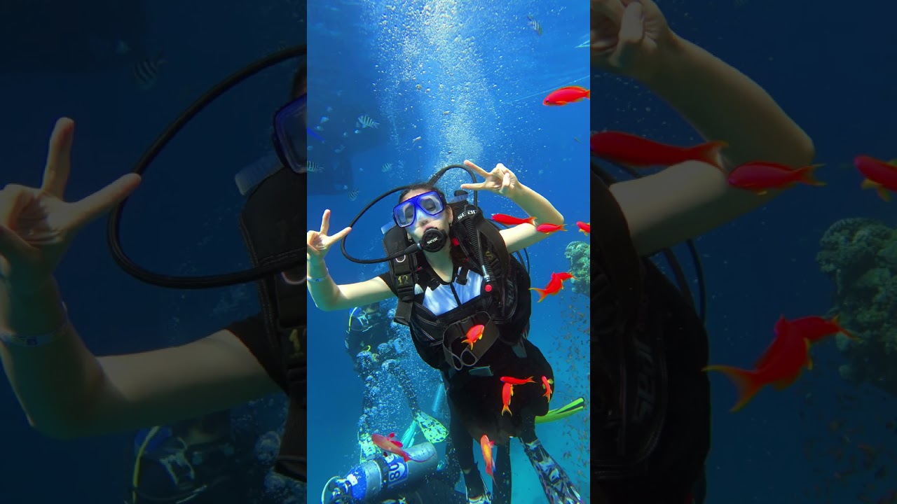 FUN&SUN FAMILY SEA BEACH Египет, Шарм-эль-Шейх 15.02.2026