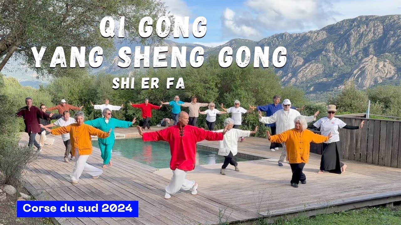 Qi Gong Yang Sheng Gong Shi Er Fa - Forme complète (Stage de Qi Gong Corse 2024).