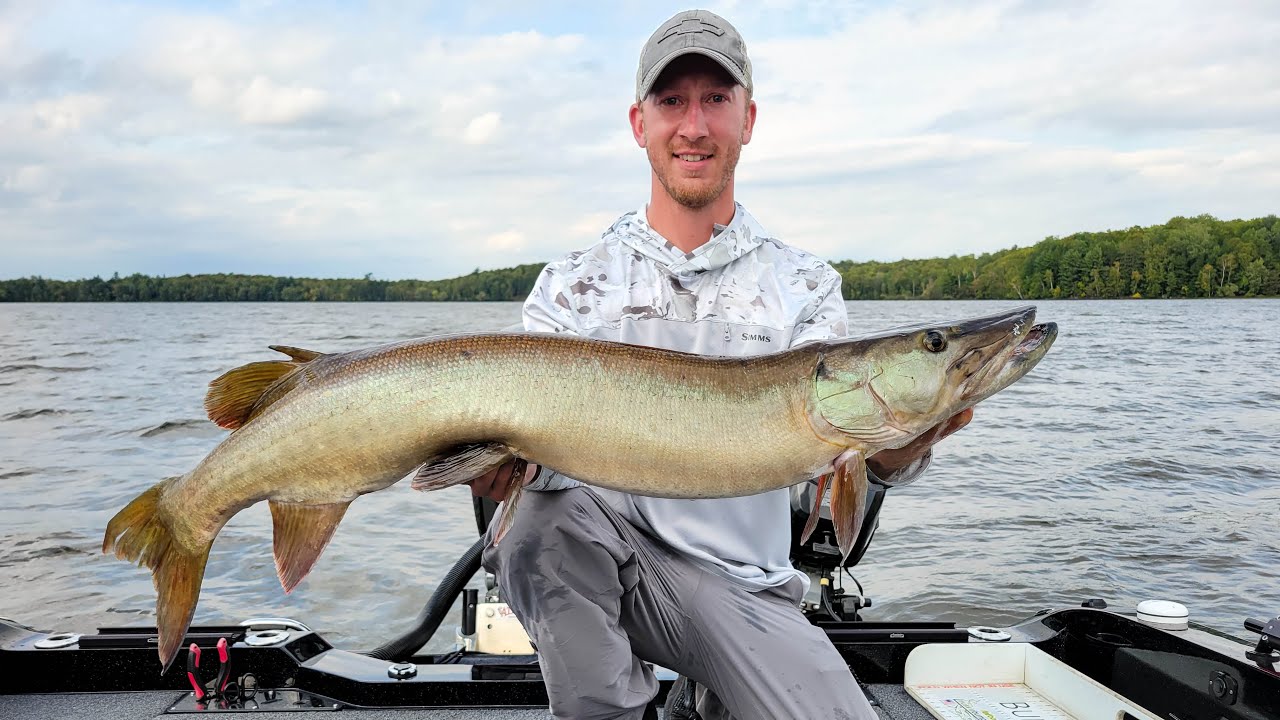 Action-Packed Musky Fishing Trip (3 Fish Day in Northern Wisconsin)