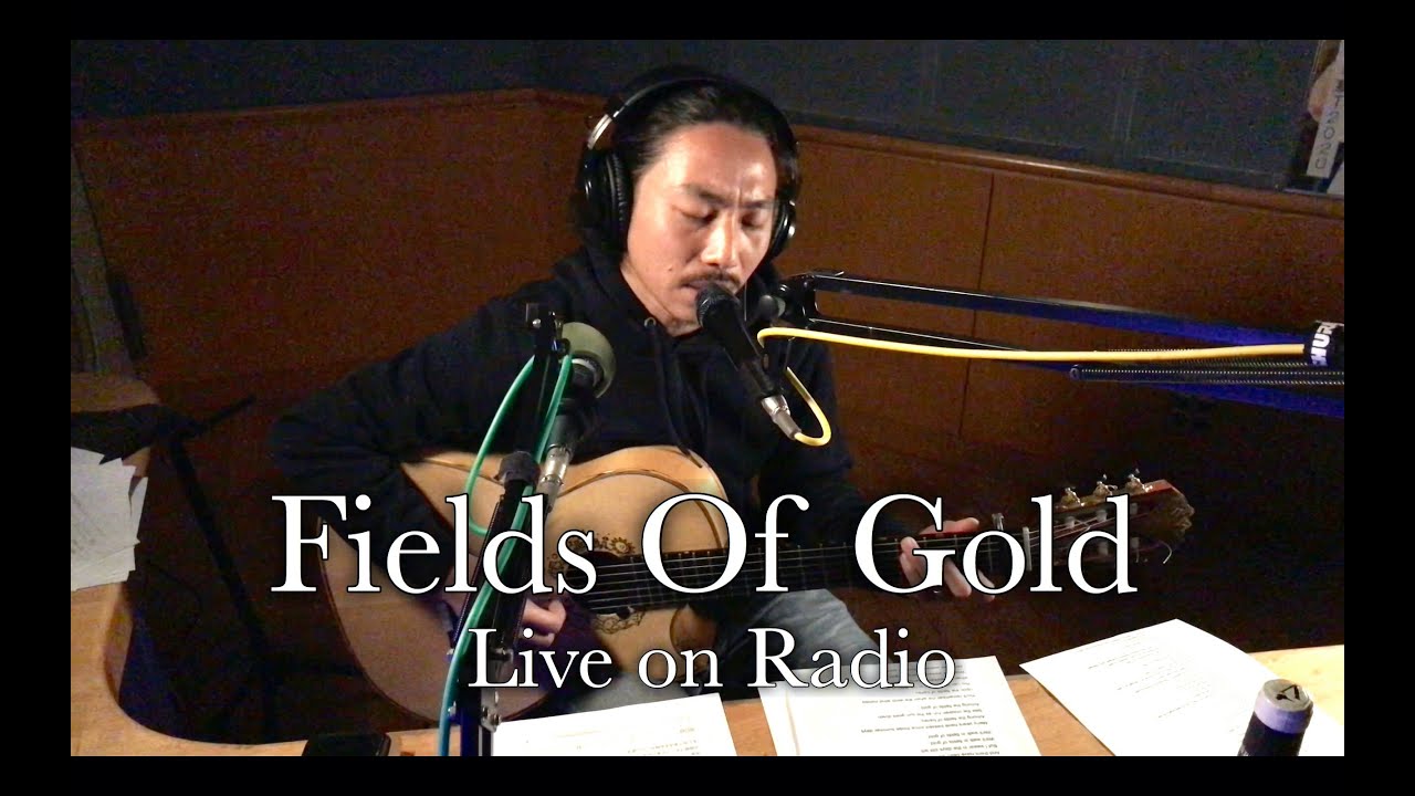 Sting - Fields Of Gold (TAMA cover)