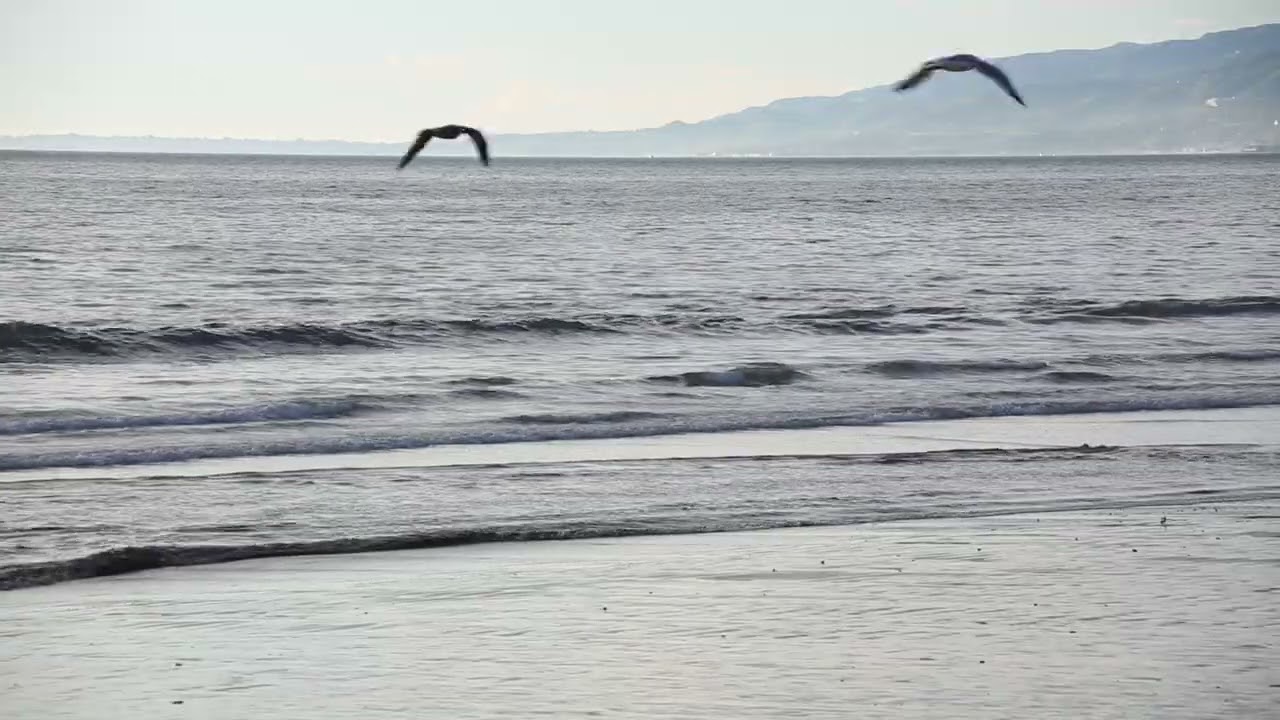 Peaceful Seaside Moments in Paradise