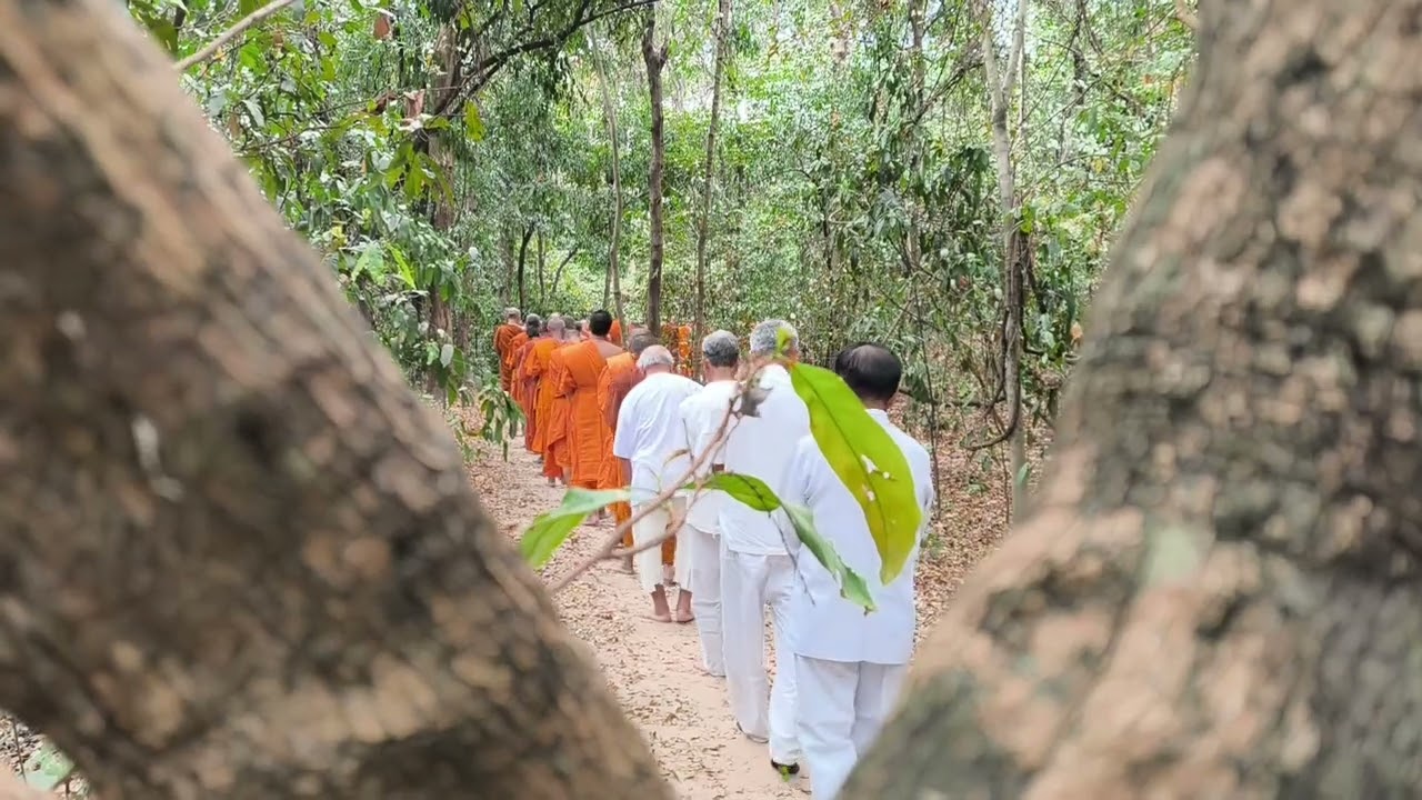 บุญเข้ากรรมประจำปี 2569 ณ วัดป่าพุทธนิมิต ต.หนองสนิท อ.จอมพระ สุรินทร์ #บุญเข้ากรรม #วัดป่าพุทธนิมิต