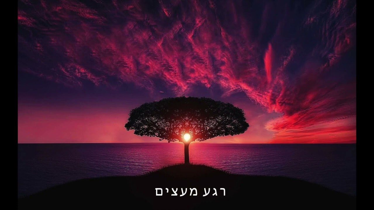 משמעות החיים על פי ניטשה וספרו המפורסם כה אמר זרתוסטרא עם ד