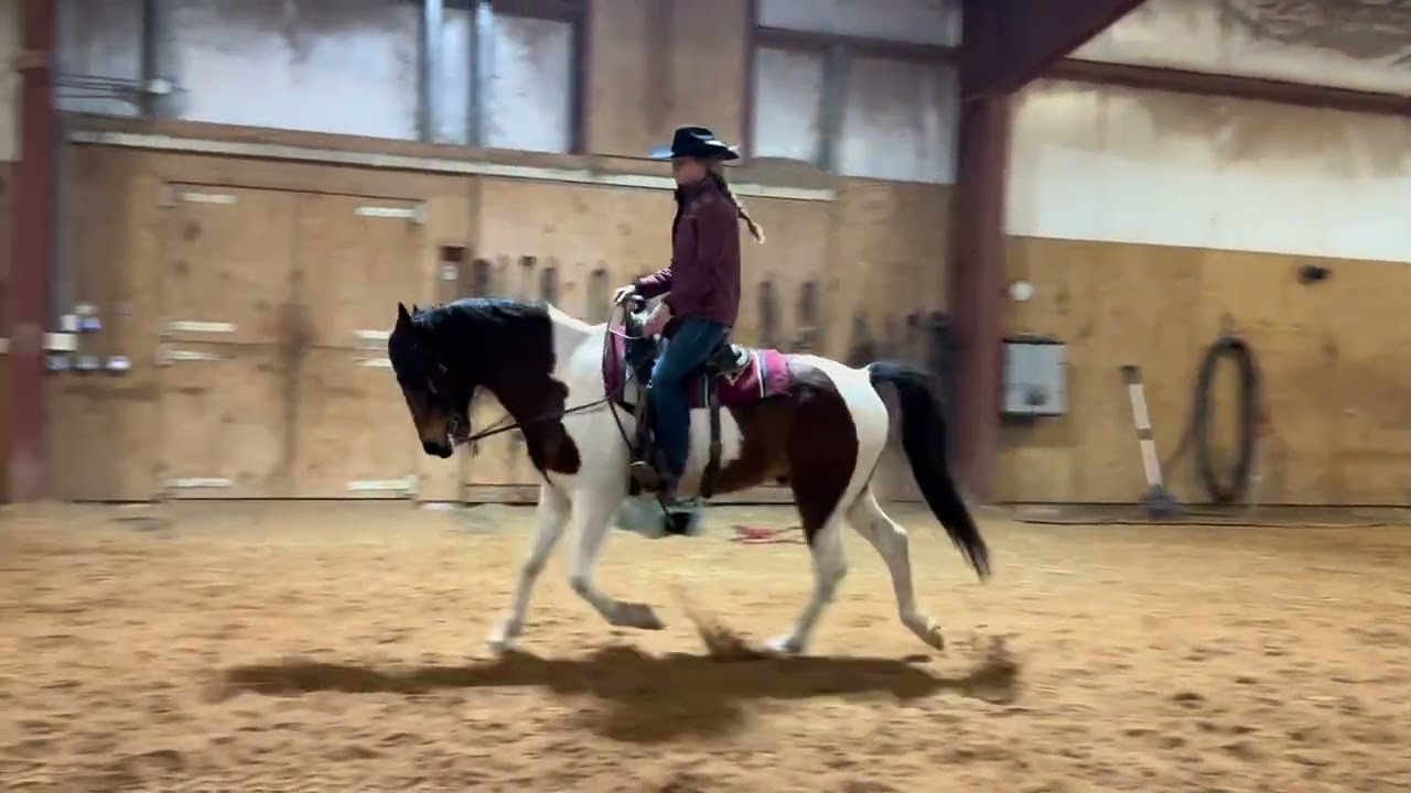 Midwest Horse Fair 2026 Clinic Application!