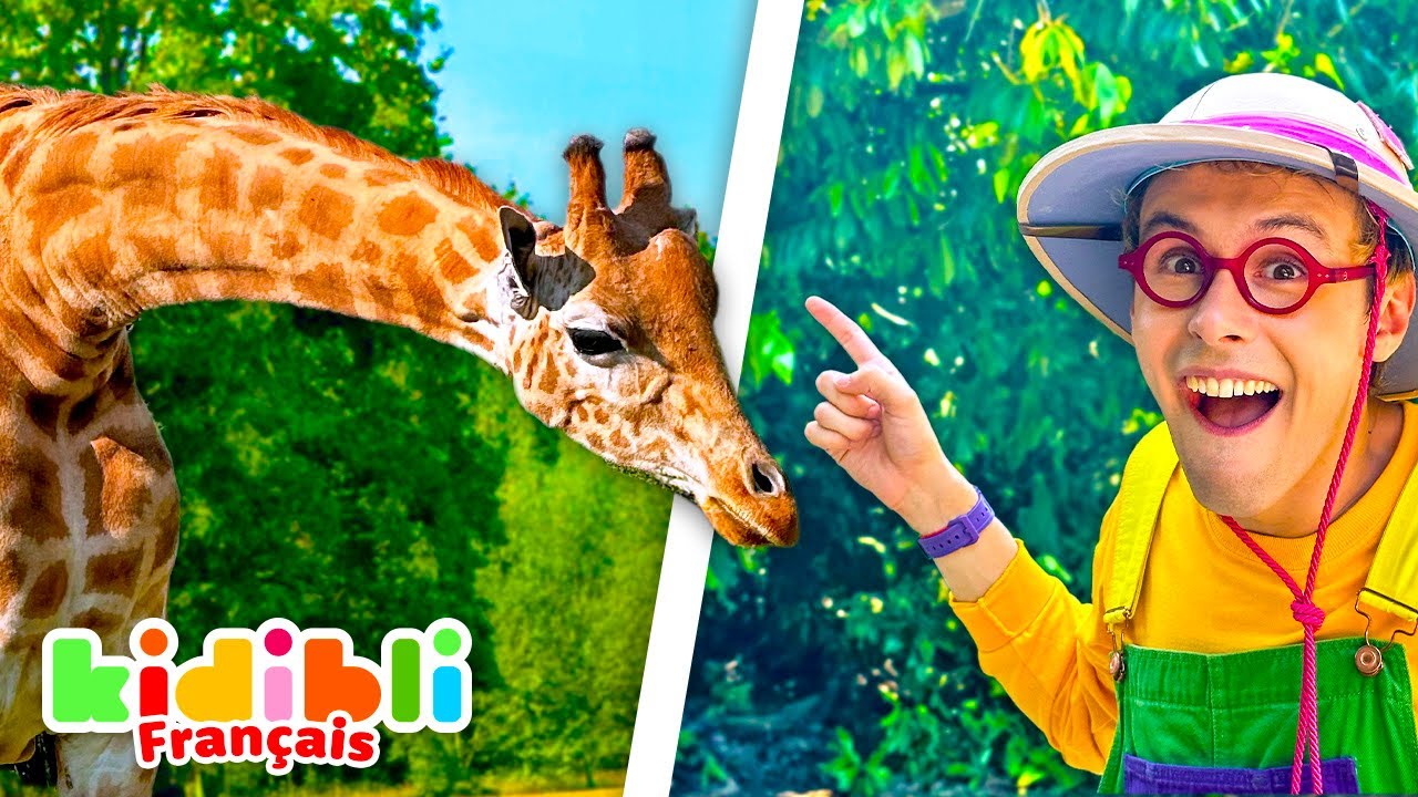 Compilation Animaux de la Savane | Vidéos Educatives pour les Enfants | Kidibli