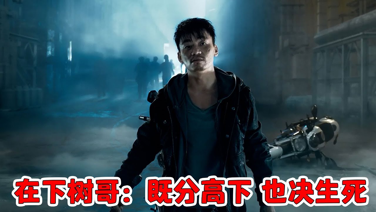 一個人的武林完整版：在下樹哥：既分高下！也決生死！