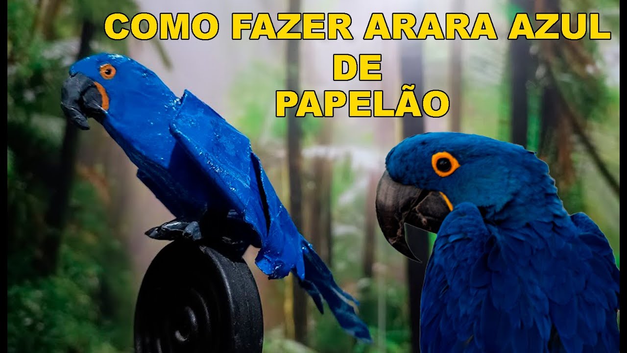 Como fazer arara azul de papelão