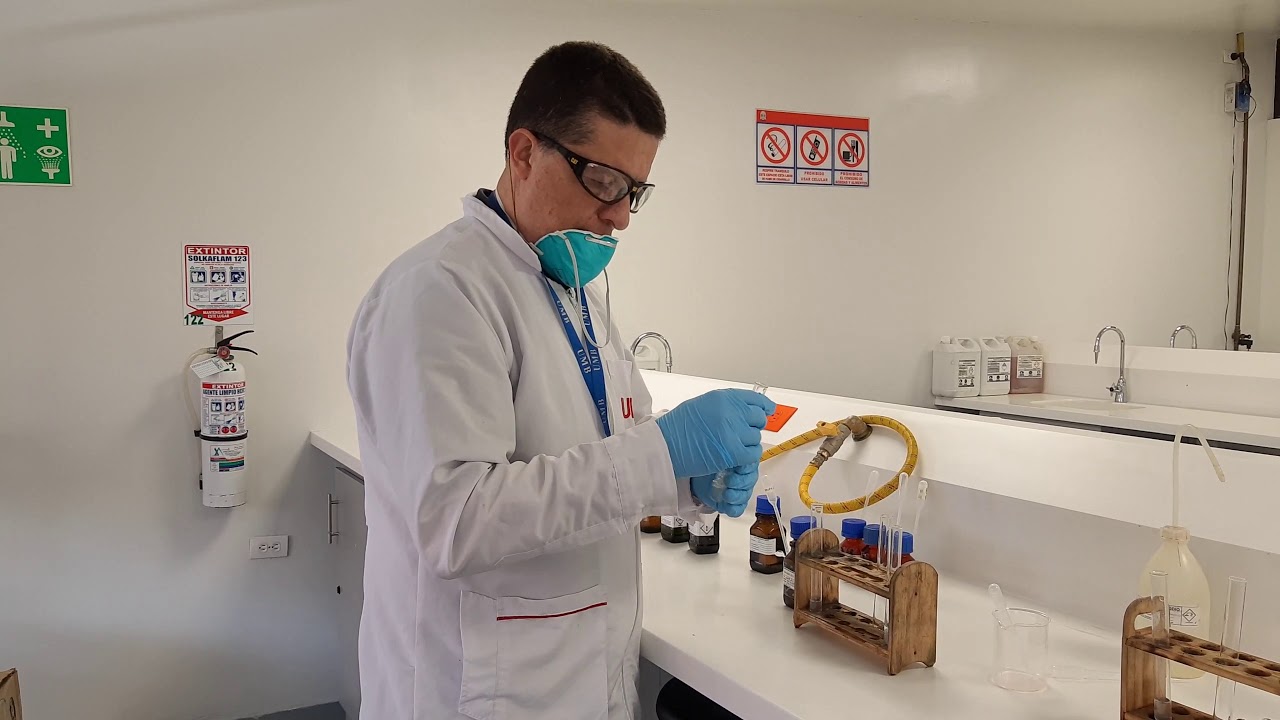 Actividad enzimática sesión 2 Amilasa