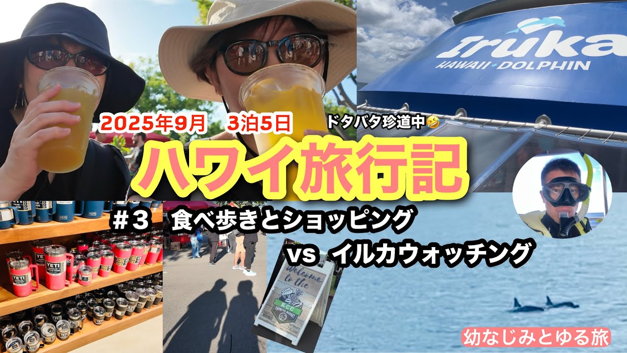 KCCもアラモアナも“空振り”？？その裏で夫はイルカウォッチング大成功していた件🐬😂 【ハワイ珍道中#3】