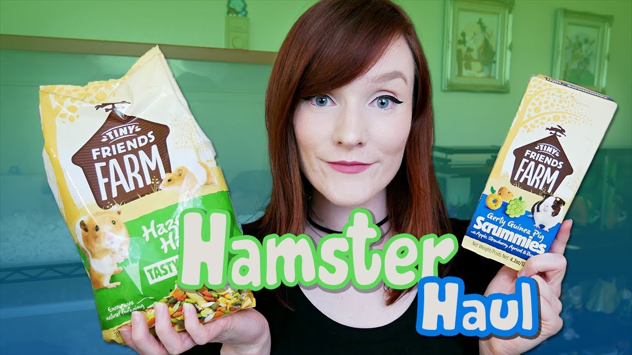 WHAT'S AT MY LOCAL PET SHOP! | Small Animal Supply Haul | Munchie's Place