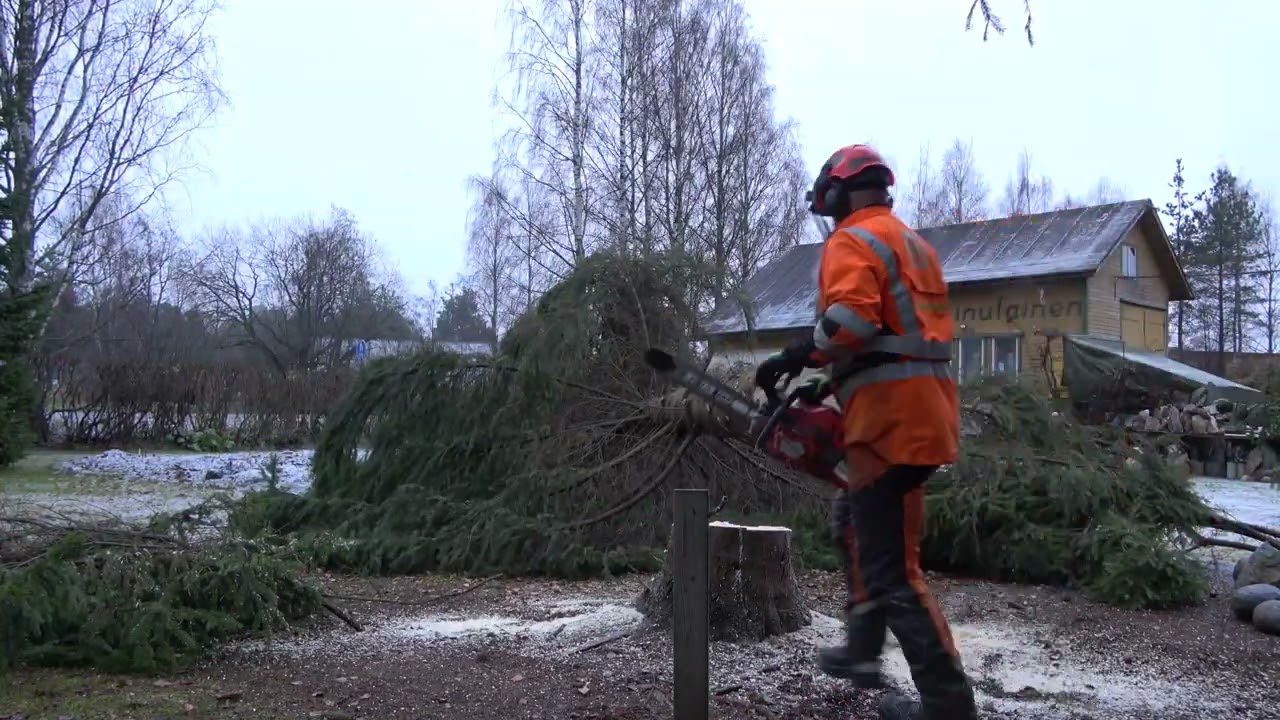 Metsolan Metsäkoulu 371 - Viikon työ - vuoden palkka