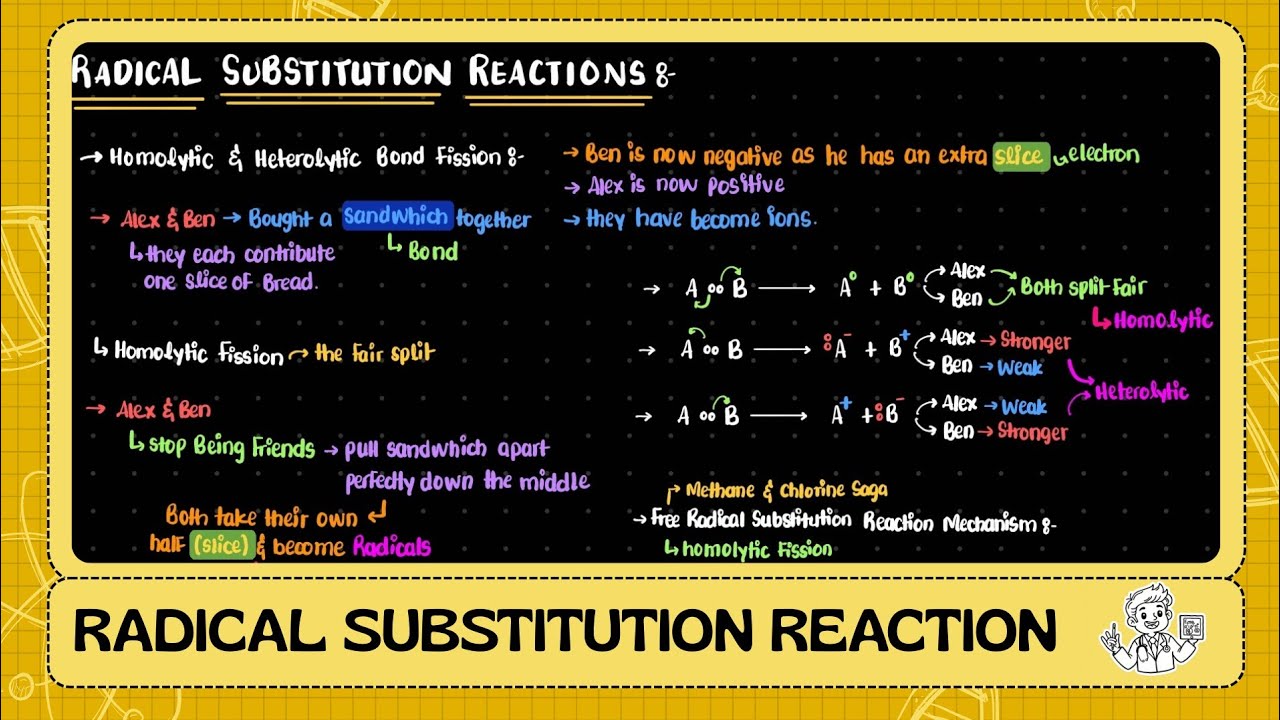 2nd Year | Hydrocarbons | Radical Substitution Reaction 