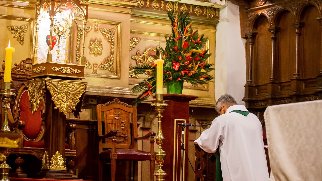 Santa Eucaristía 11 de enero de 2026