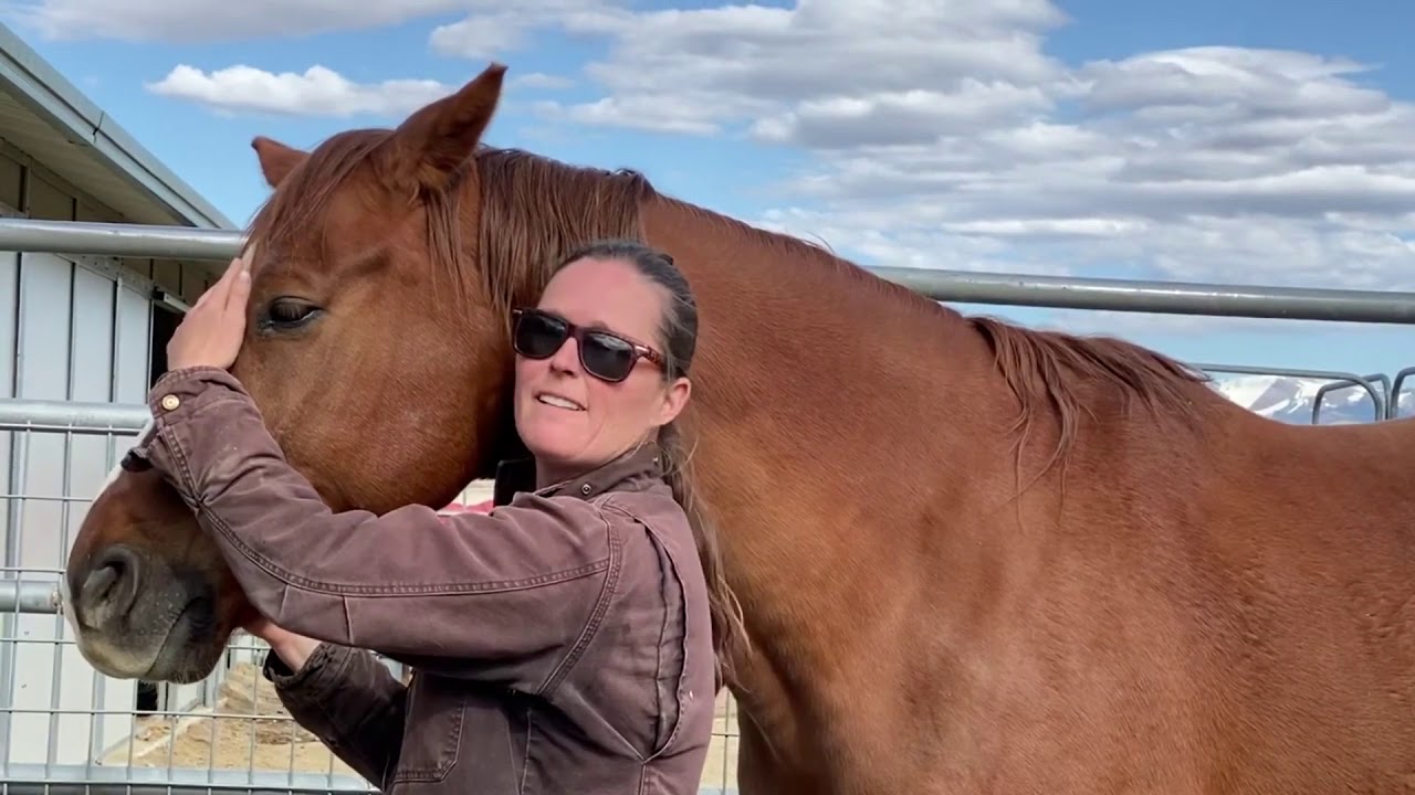 Emotional Connection with horse