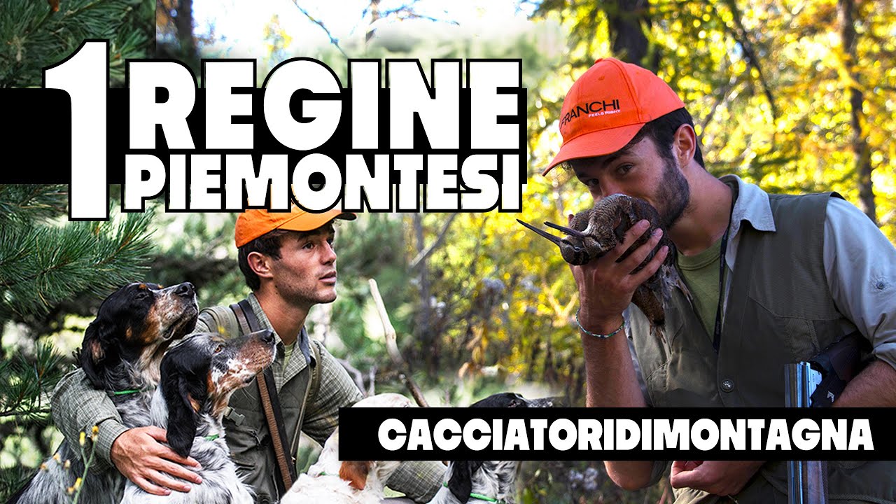 Regine Piemontesi | Caccia alla Beccaccia con il Setter Inglese
