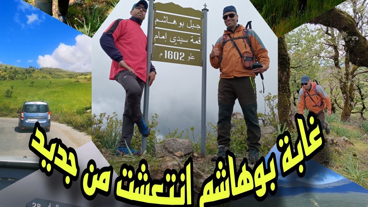 إل غابة بوهاشم 🎄 وتسلق جبل سيدي إمام ⛰. الطريق نحو القمة كلها مذهلة وطبيعة خلابة ماشاء الله 😍🌷✨