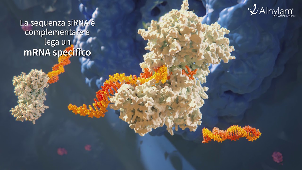 RNA Interference- Come funziona questa nuova tecnologia
