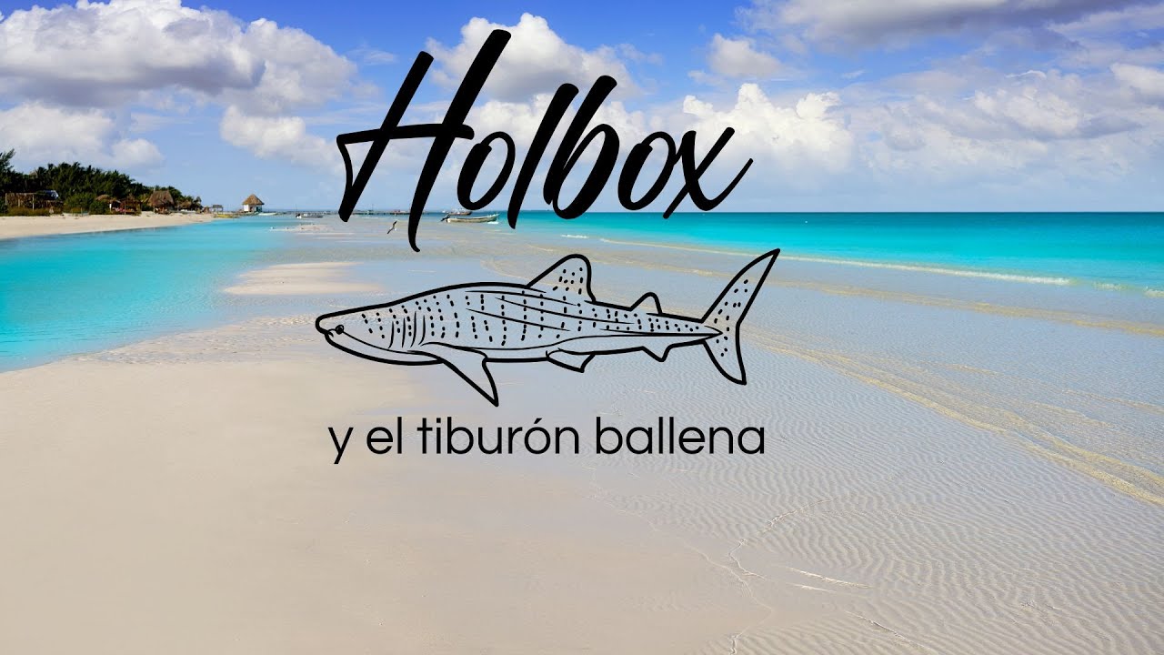 UN MUNDO POR DELANTE HOLBOX- CAP 3 _ EL CORCHAL