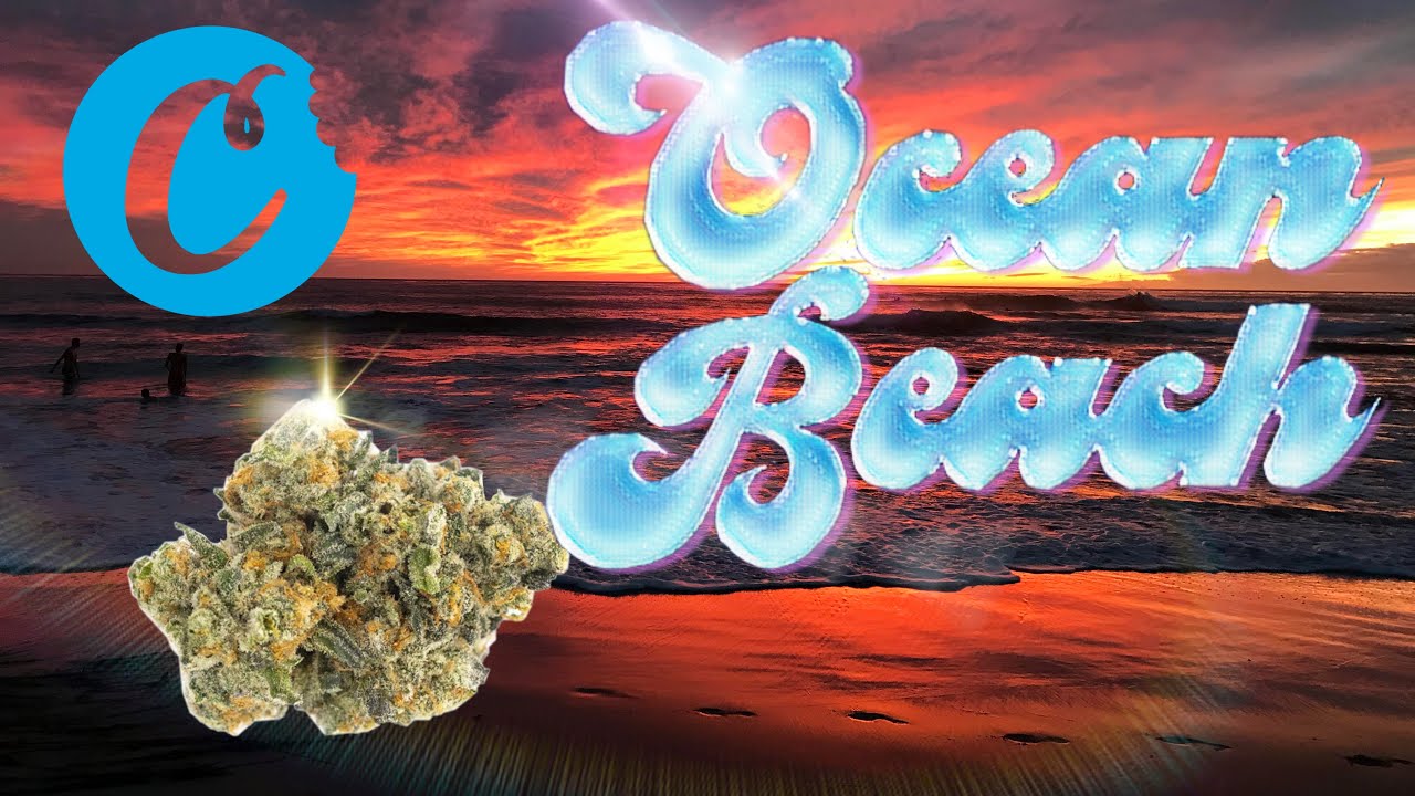 Ocean Beach Strain Review 🌊🌊💨💨