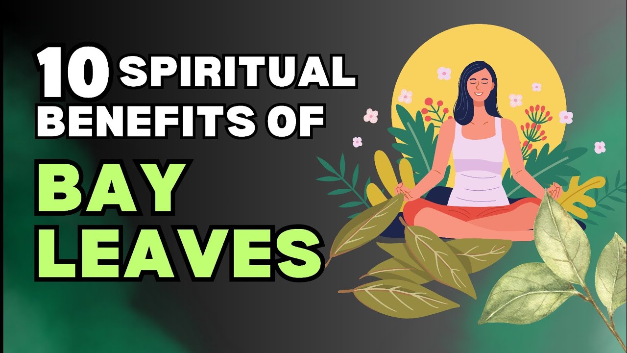 10 Spiritual Benefits Of Bay Leaves For Attracting Luck, Abundance And Positivity | Ziggy Natural
