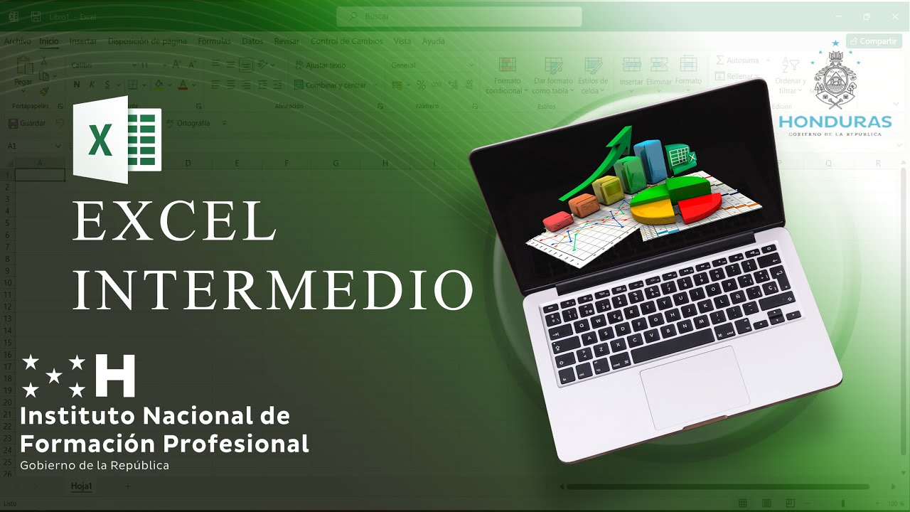 Unidad 4 - Formato condicional y validación de datos - Ejercicio 5