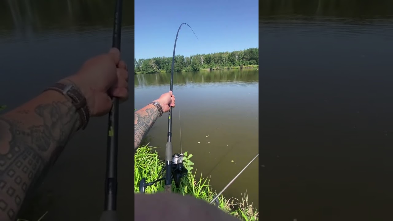 Chwilka nad Rzemykiem #fishing #dc #amur #zł&oacute;wiwypuść