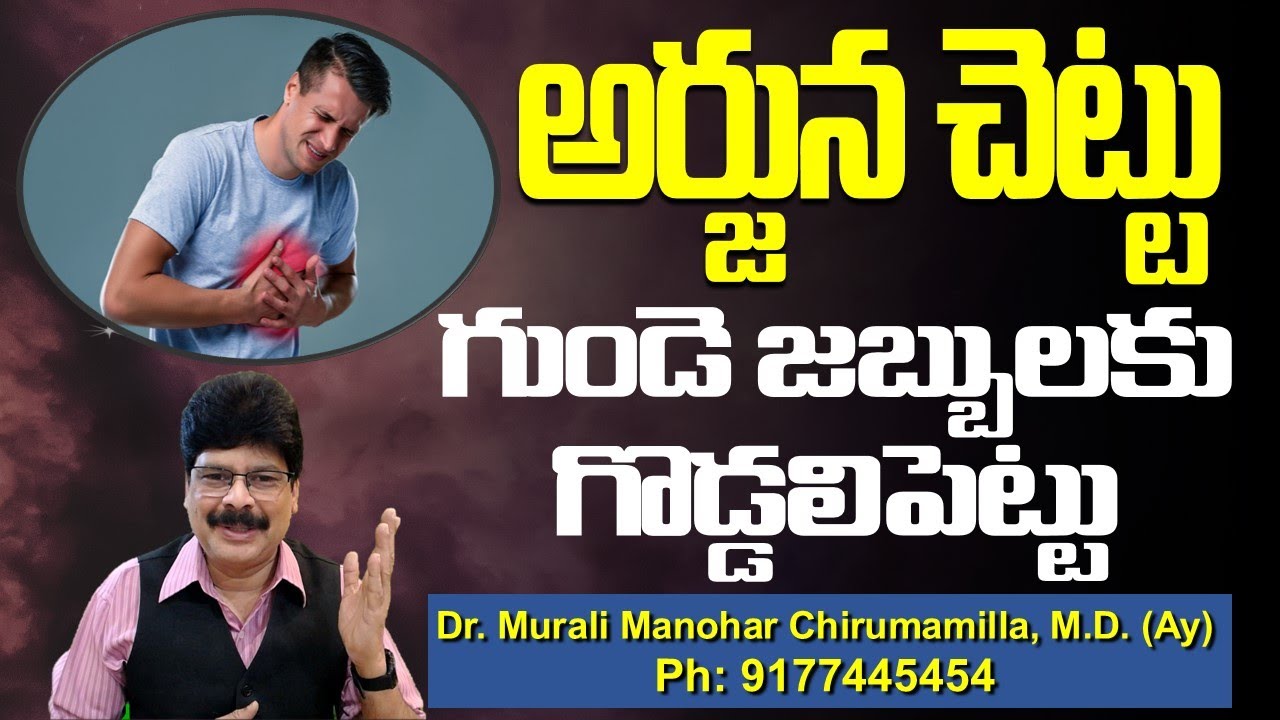 అర్జున చెట్టు గుండె జబ్బులకు గొడ్డలిపెట్టు!Arjuna Tree Bark Benefits, Uses & Side effects