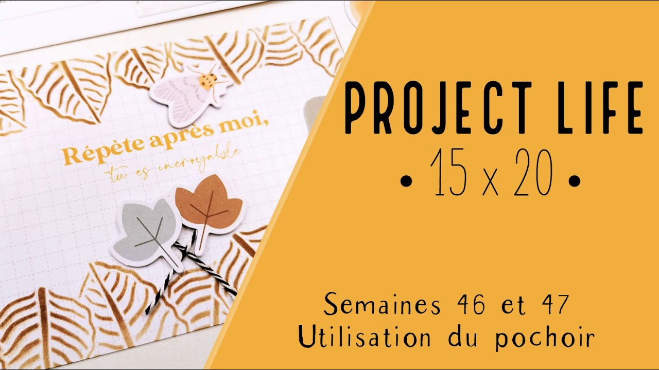 [Scrapbooking] - Project Life en français 15x20 - Semaines 46 et 47 - Utilisation du pochoir