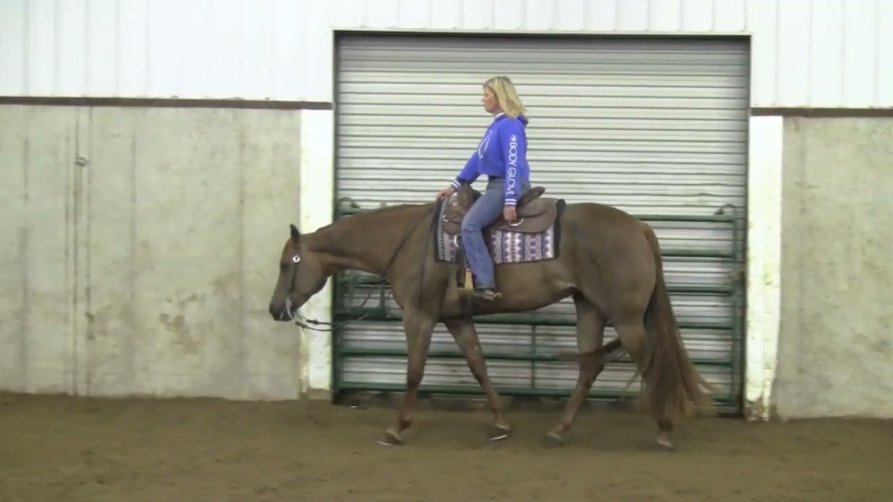THEN GOOD MADE EVE - 2014 AQHA ALL AROUND SHOW MARE