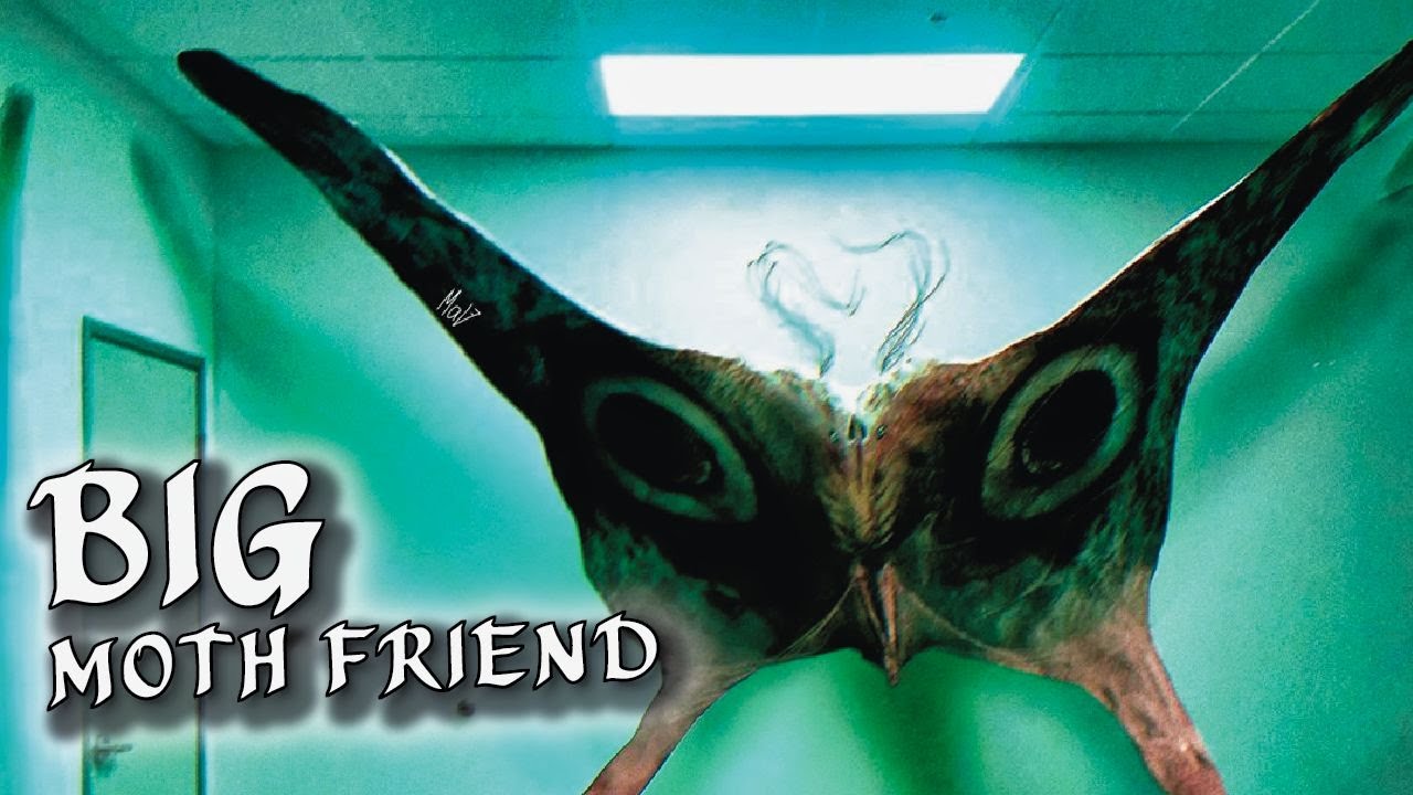 BIG Moth Friend: La gran polilla liminal