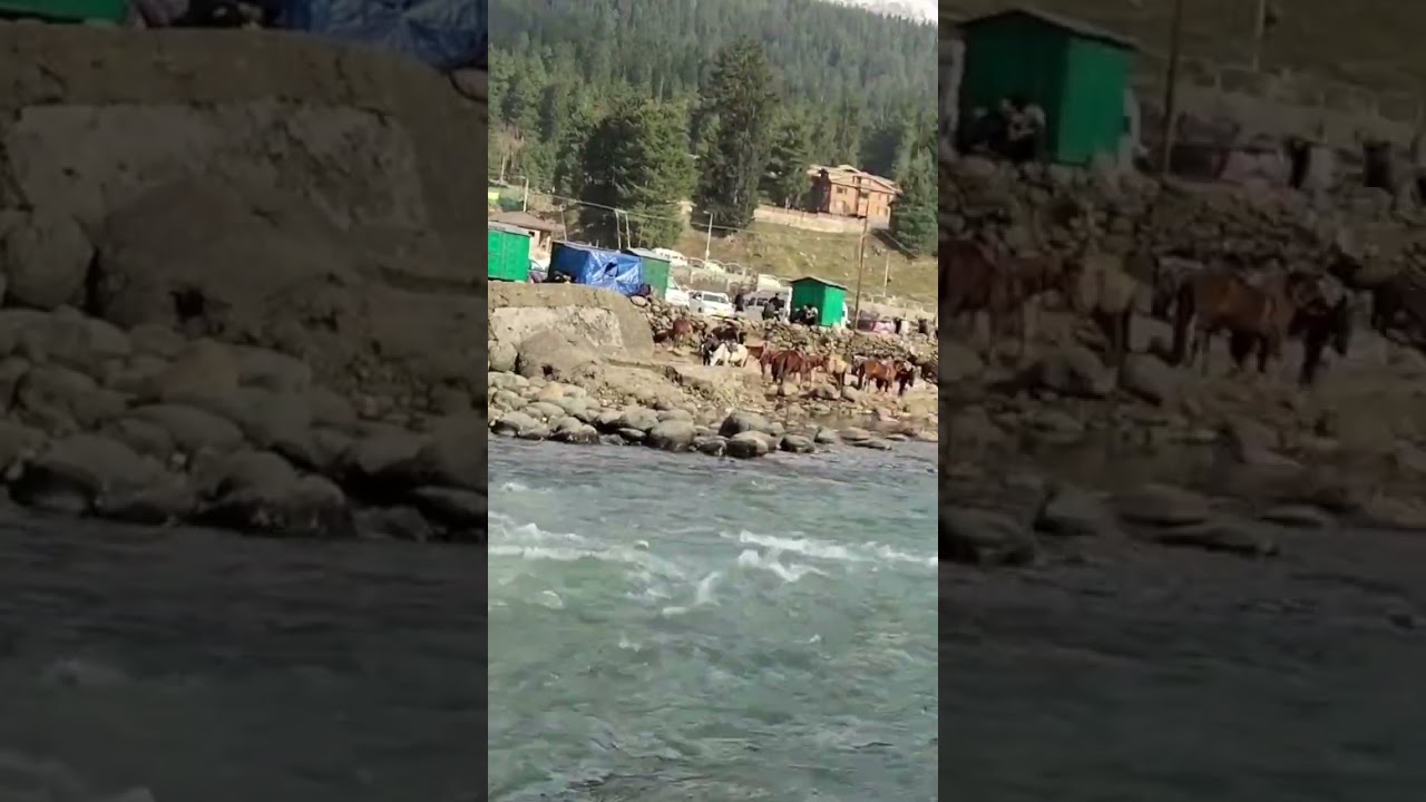 Exploring beauty of Kashmir - Lither River  #travelvlog #Kashmir #viralshorts