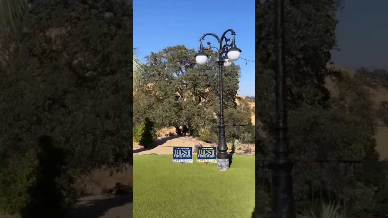 Amazing Wedding at The Clovis Castle