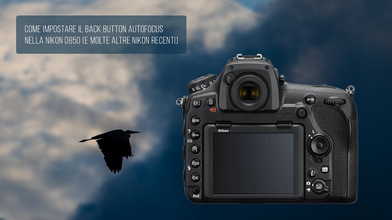 Come impostare il Back Button Autofocus nella Nikon D850 (e molte altre Nikon recenti)