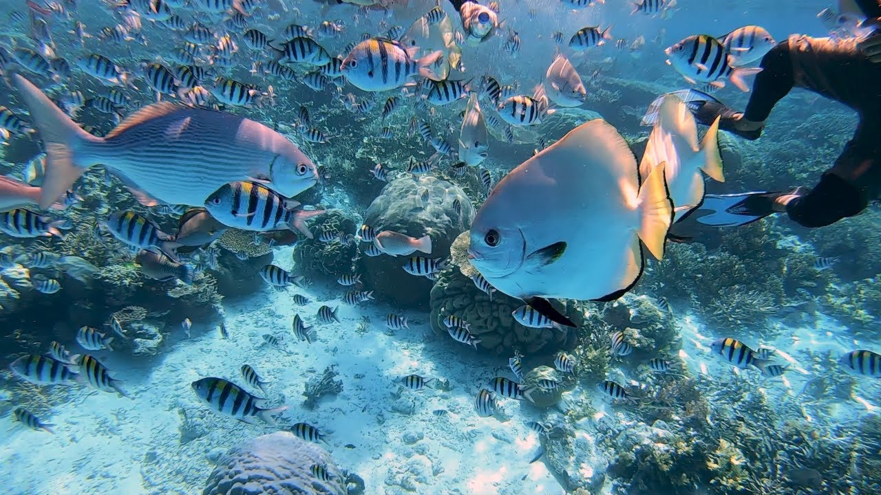 Raja Ampat  2023 - Yenbuba jetty