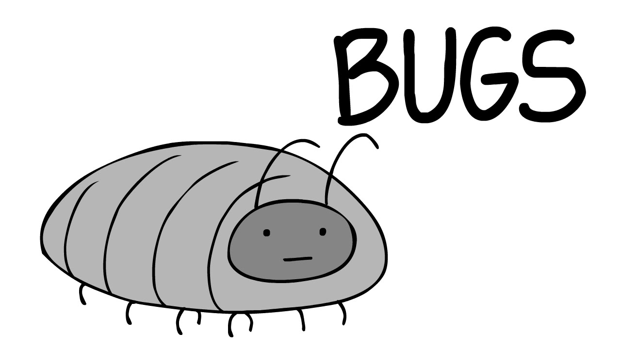 Bugs