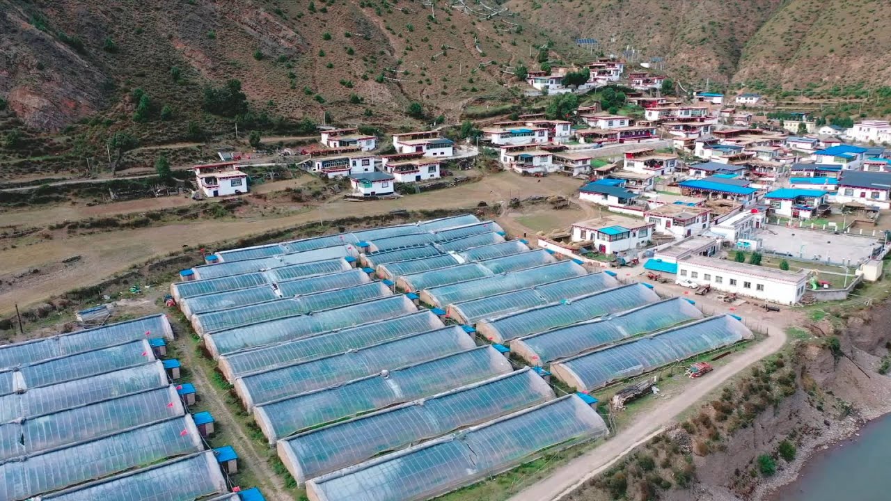 Yak Video | Poverty alleviation achievements in Qamdo, China's Tibet