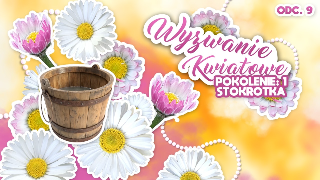 Dziecko w wiadrze kąpać... - Dziesieciolecia 2.0?🌼 Wyzwanie Kwiatowe #9 | Pokolenie Stokrotki